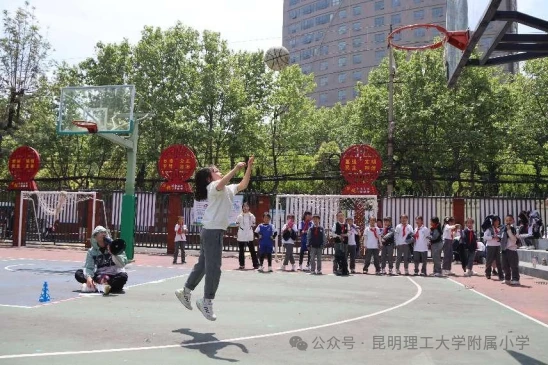 哪里可以找到篮球训练的模范案例_1